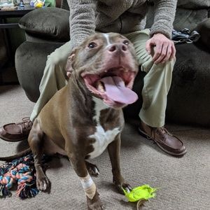 Meet your Posher, Kyle